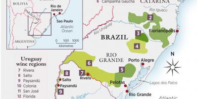 Мапа на Уругвај вино